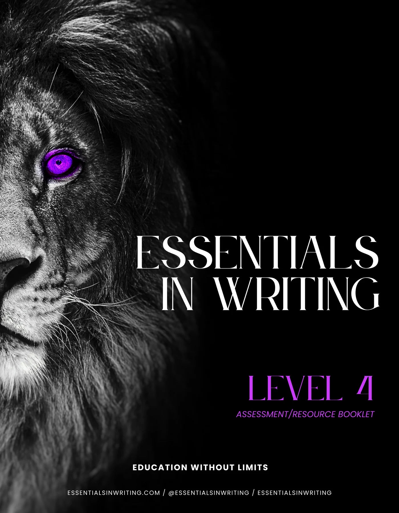 Essentials in Writing Level 4 Assessment/Resource Booklet (C9928)