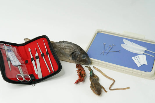 Discovering Design with Biology Dissection Kit (H698)
