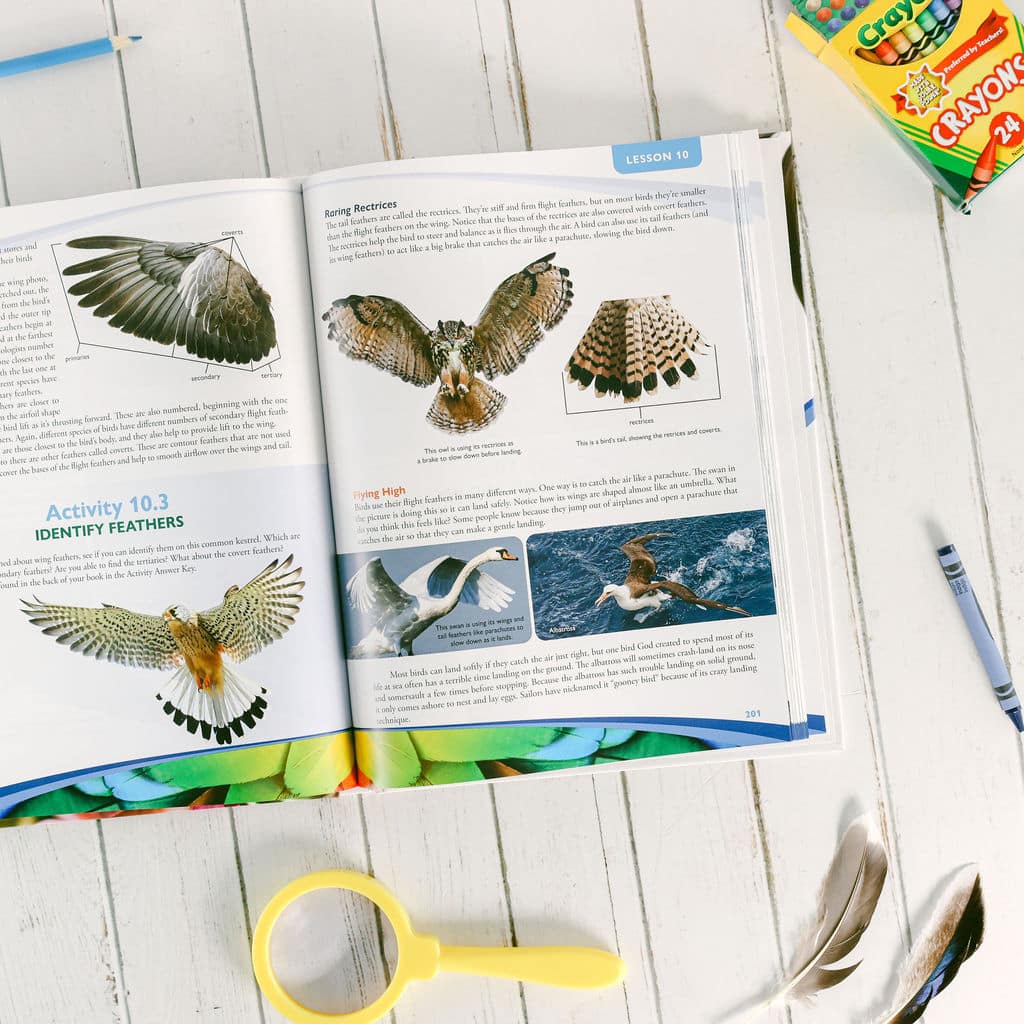 Zoology 1 Textbook 2nd Ed (H5920)