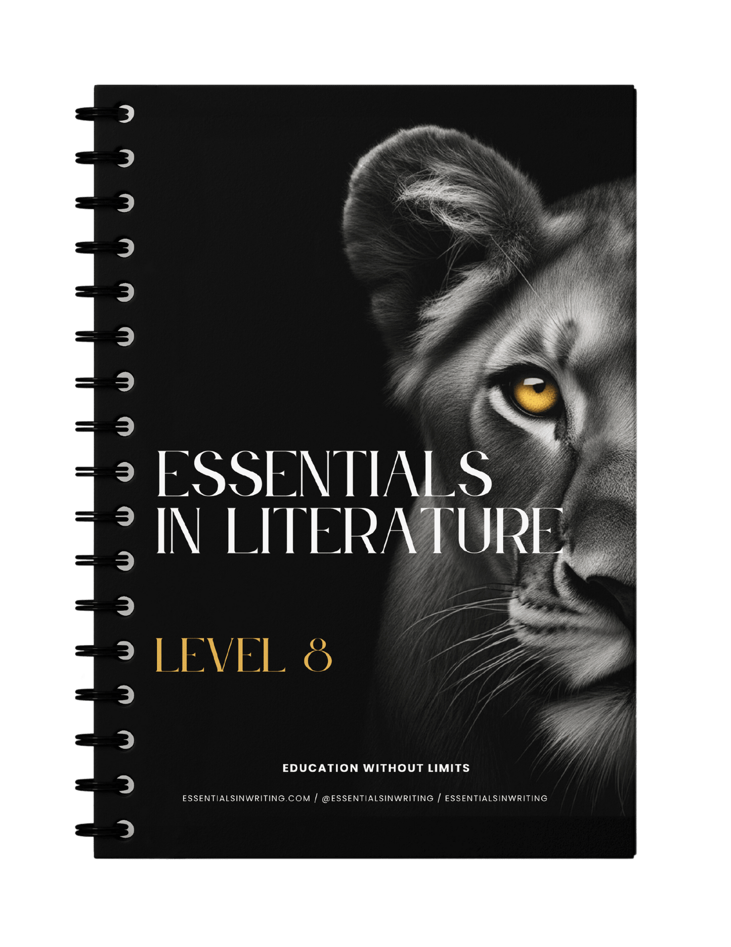 Essentials in Literature 8 Workbook (C9963)