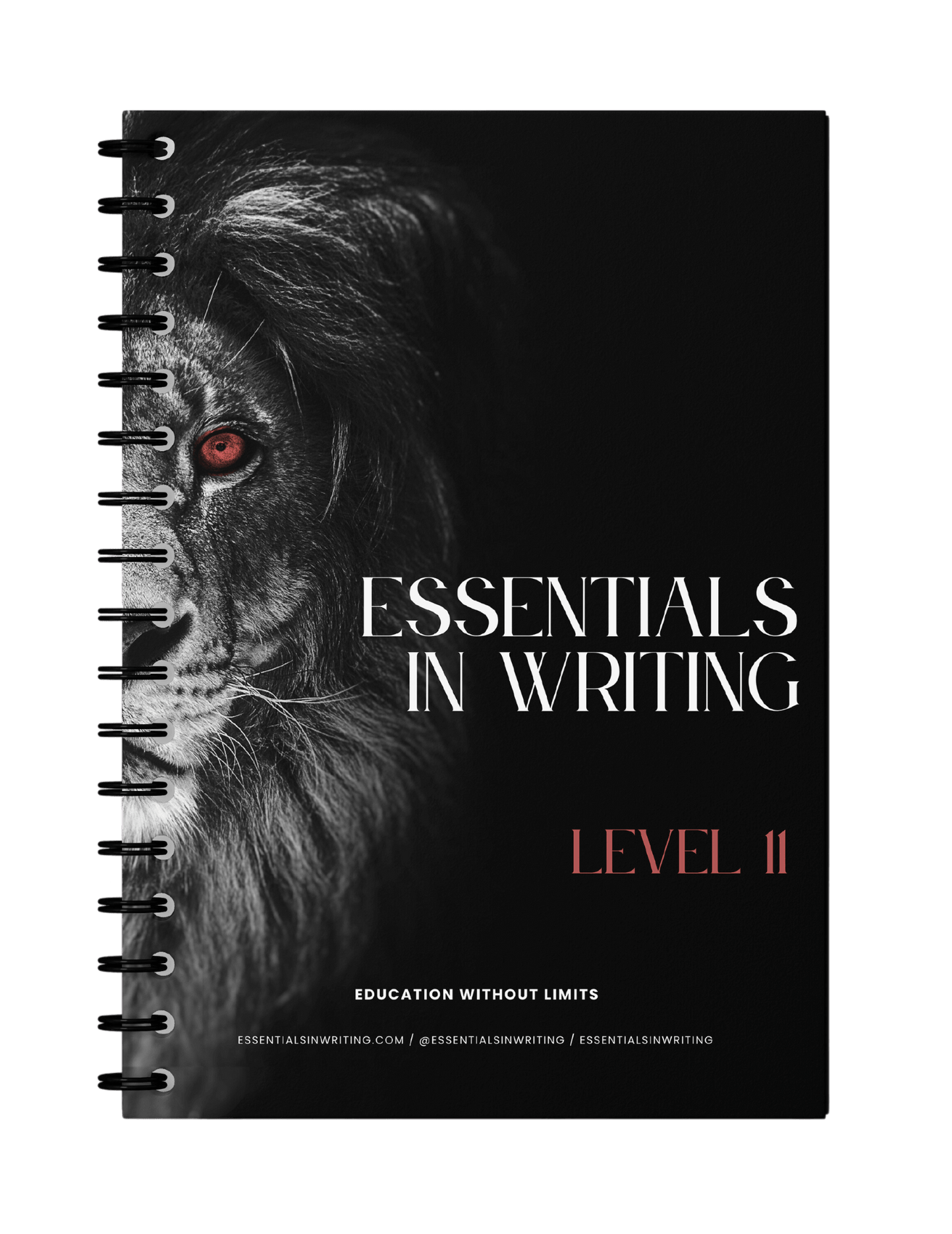 Essentials in Writing Level 11 Workbook (C9923)