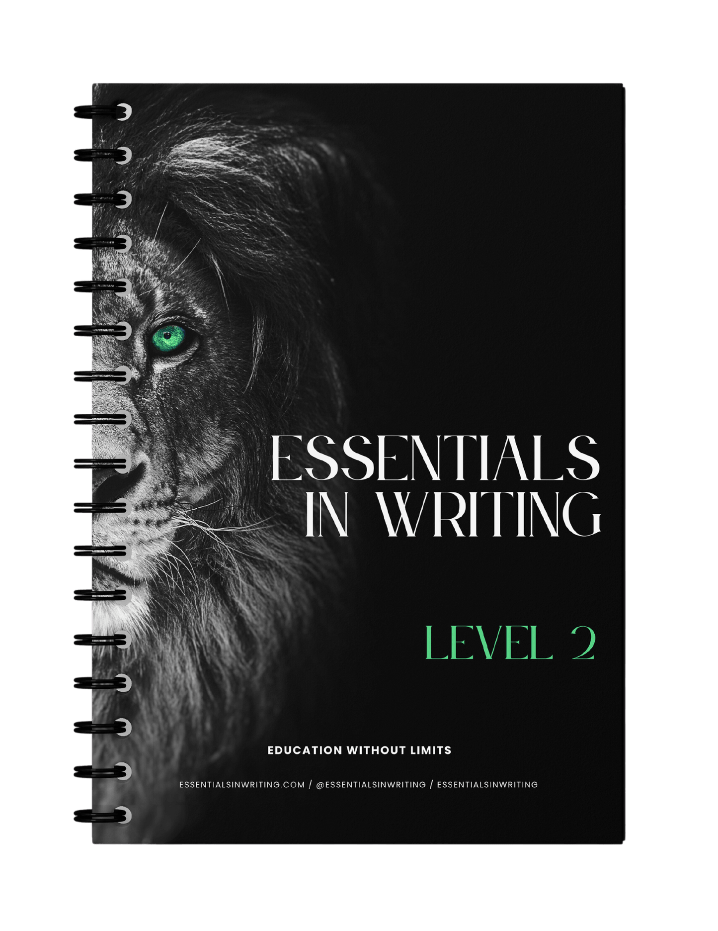 Essentials in Writing Level 2 Workbook - 2nd Edition (C9914)