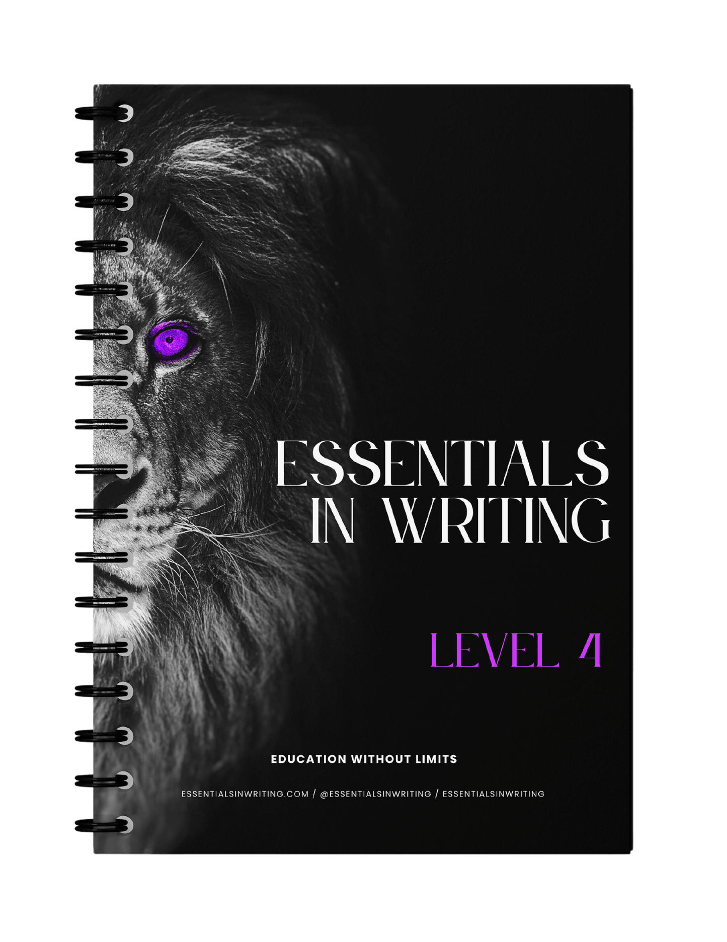 Essentials in Writing Level 4 Workbook 2nd Edition (C9916)