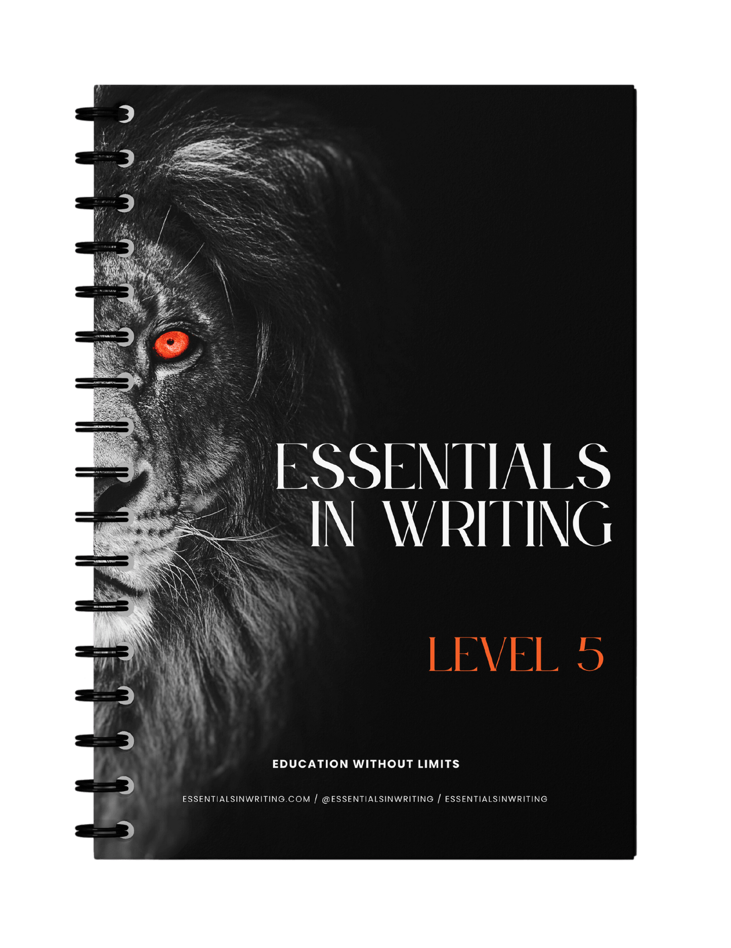 Essentials in Writing Level 5 Workbook 2nd Edition (C9917)