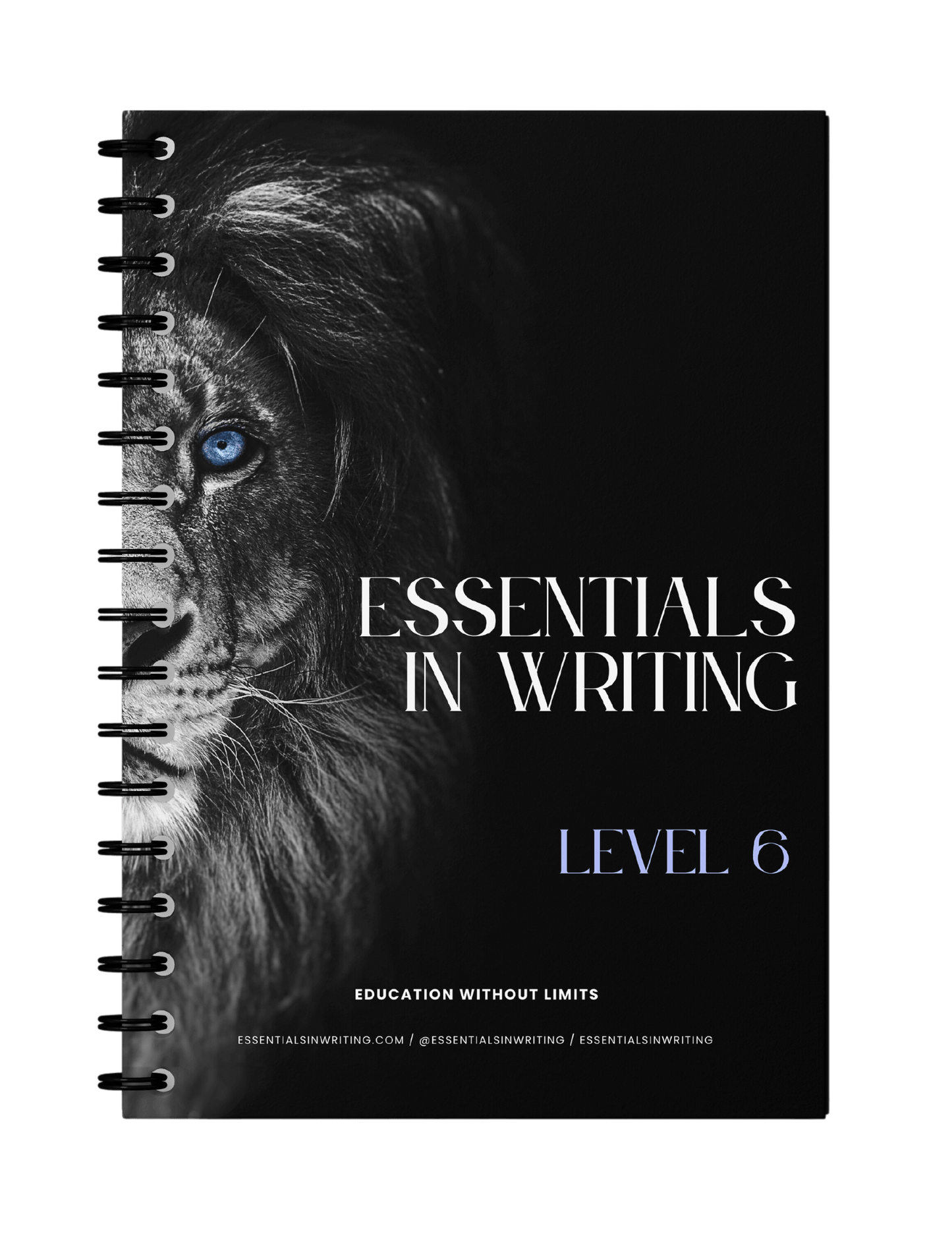 Essentials in Writing Level 6 Workbook - 2nd Edition (C9918)