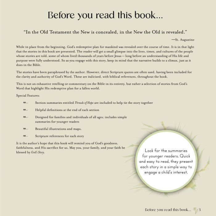 God's Story (C460)