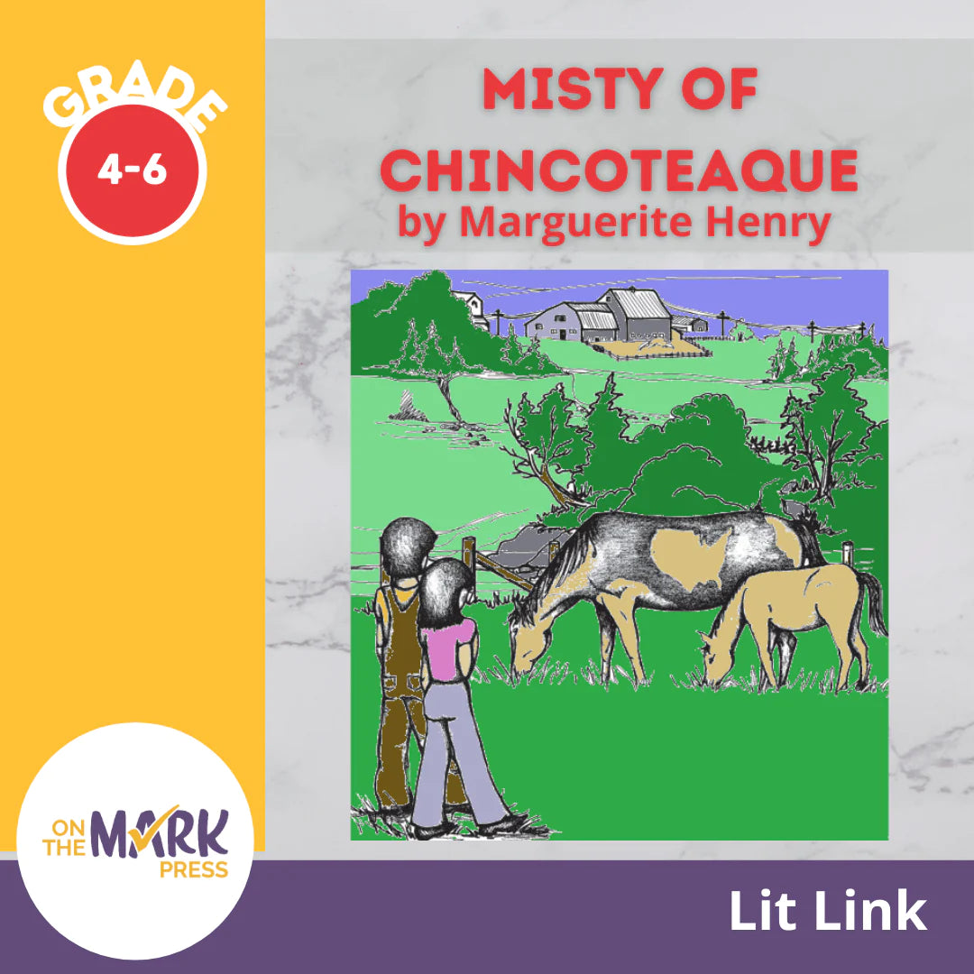 Misty of Chincoteaque Lit Link (C686)