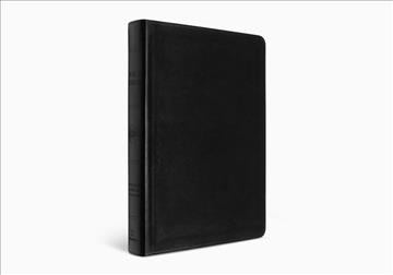 ESV Large Print Value Thinline Bible - TruTone, Black (K518)