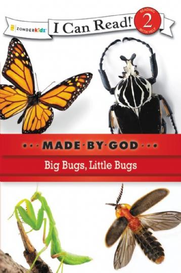 Big Bugs, Little Bugs (N645)