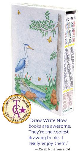 Draw Write Now Set of 8 Workbooks (C829)
