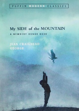 My Side of the Mountain (N328)