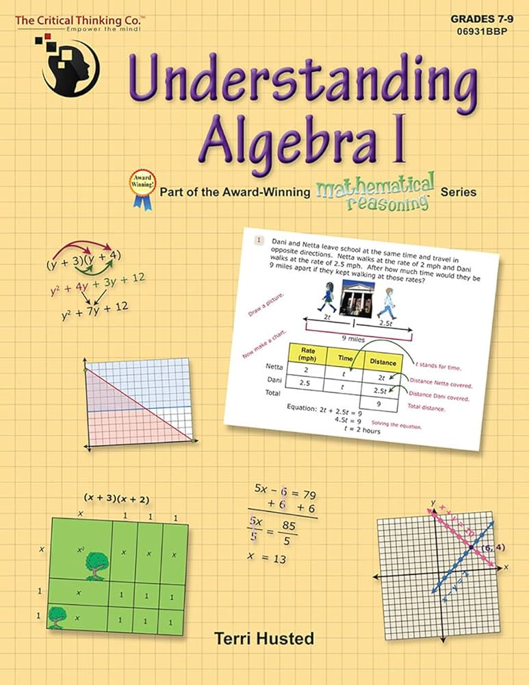 Understanding Algebra 1