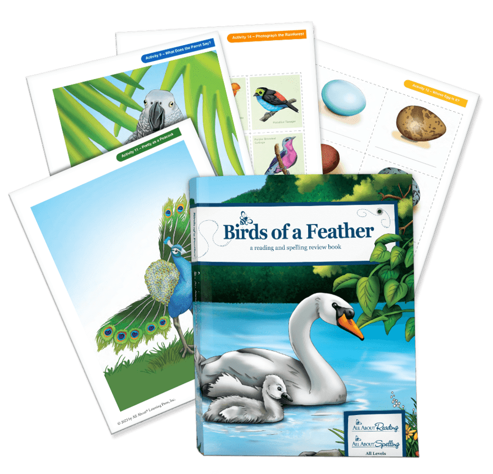 Birds of a Feather Review Book (C515)