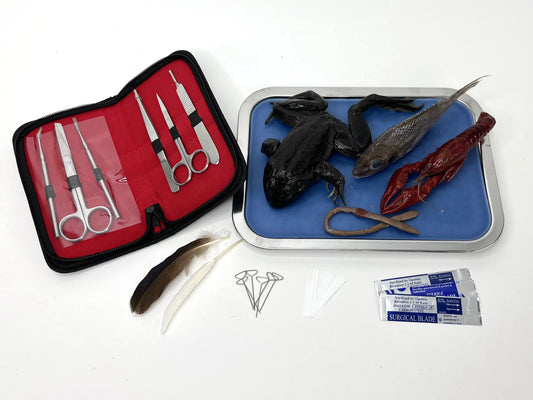 Biology Dissection Kit