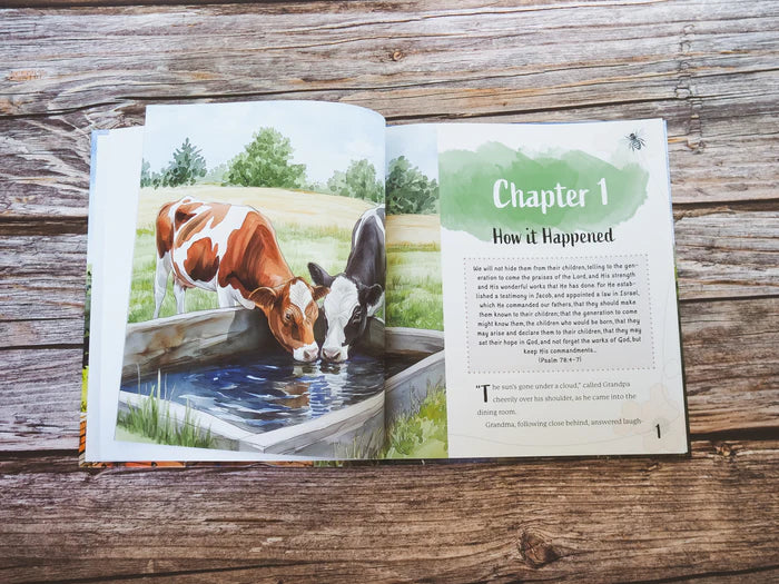 A Hive of Busy Bees (B2196)