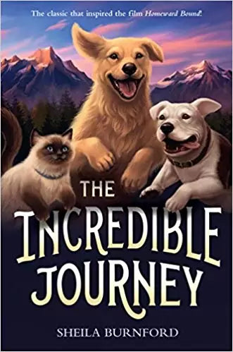 The Incredible Journey (N325)