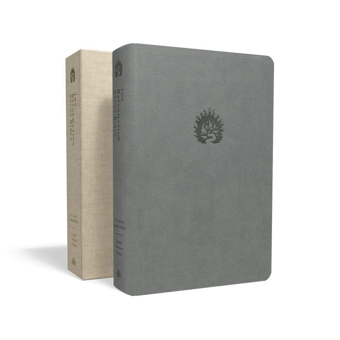 ESV Ref Study Bible - Light Grey Imitation Leather (K498)