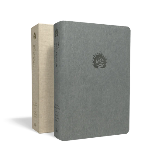 ESV Ref Study Bible - Light Grey Imitation Leather (K498)