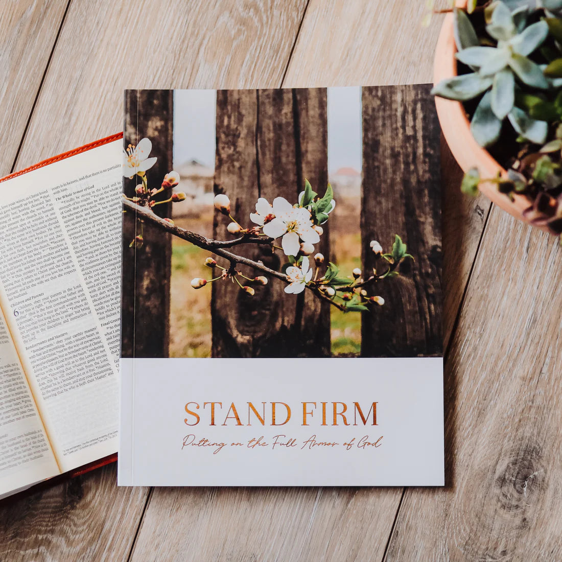 Stand Firm Armor of God Study Guide (K745)