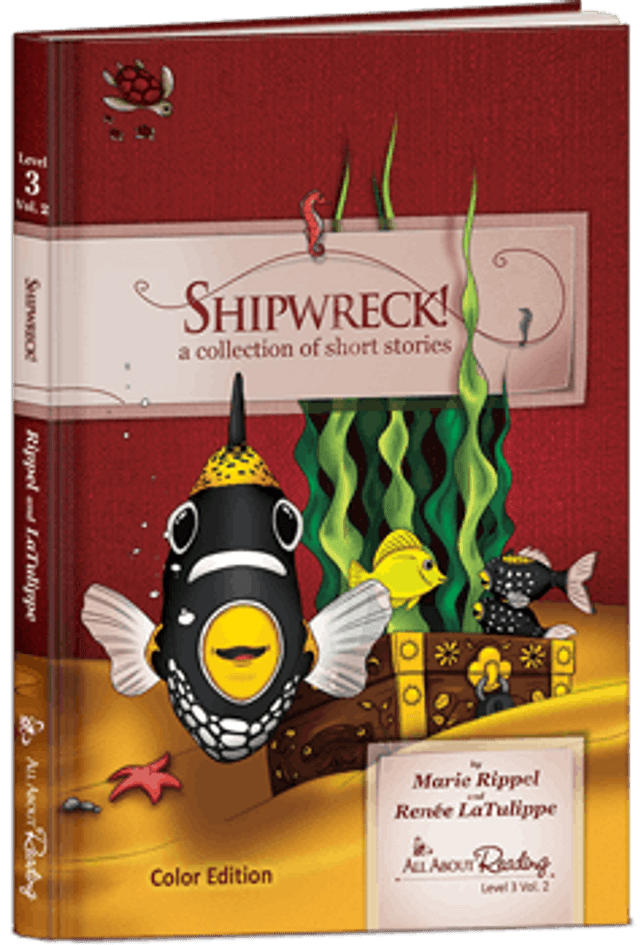 All About Reading Level 3 Kit  (E303)