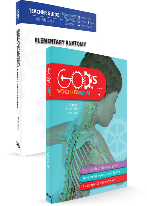 Elementary Anatomy Set (H339)