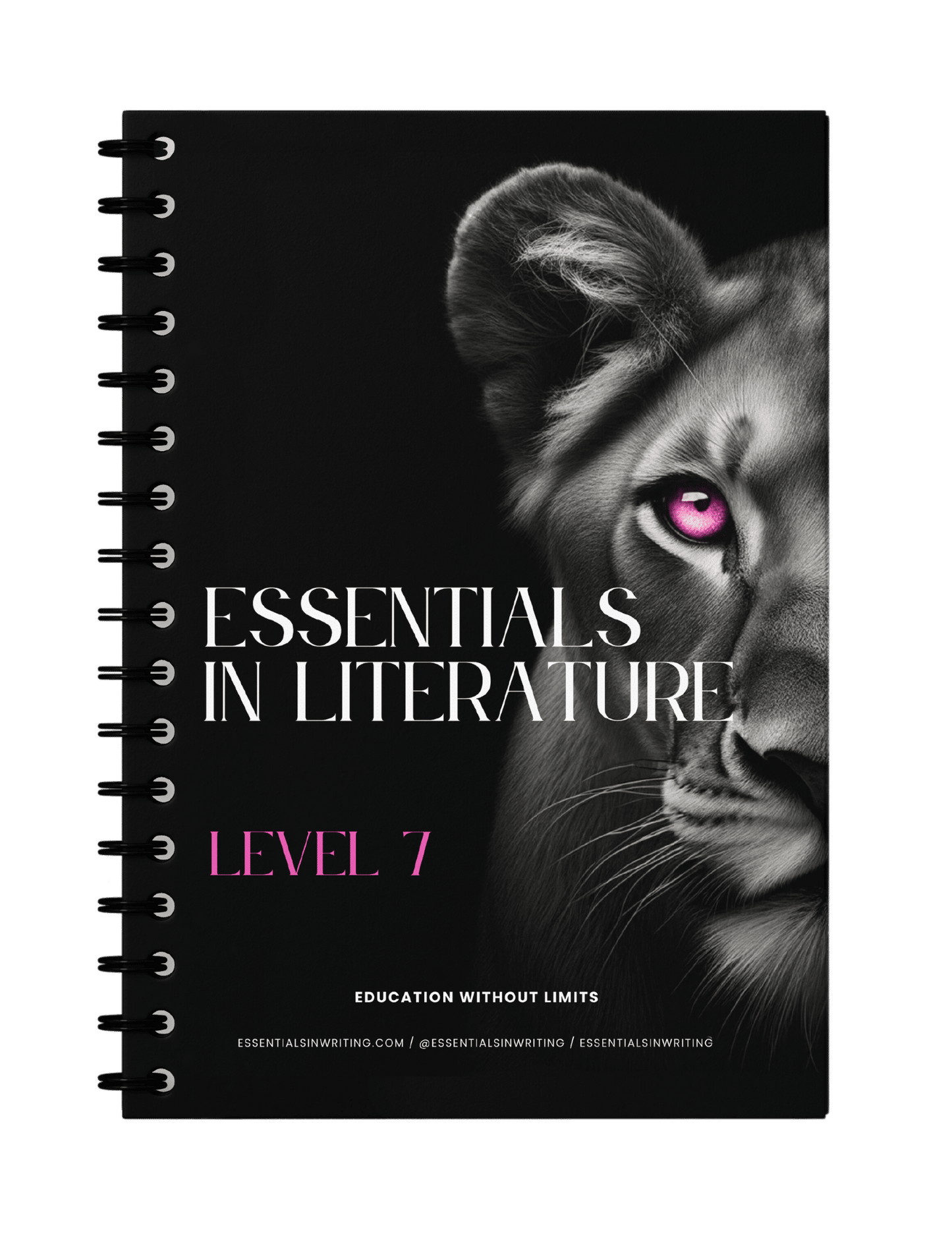 Essentials in Literature 7 Workbook (C9962)