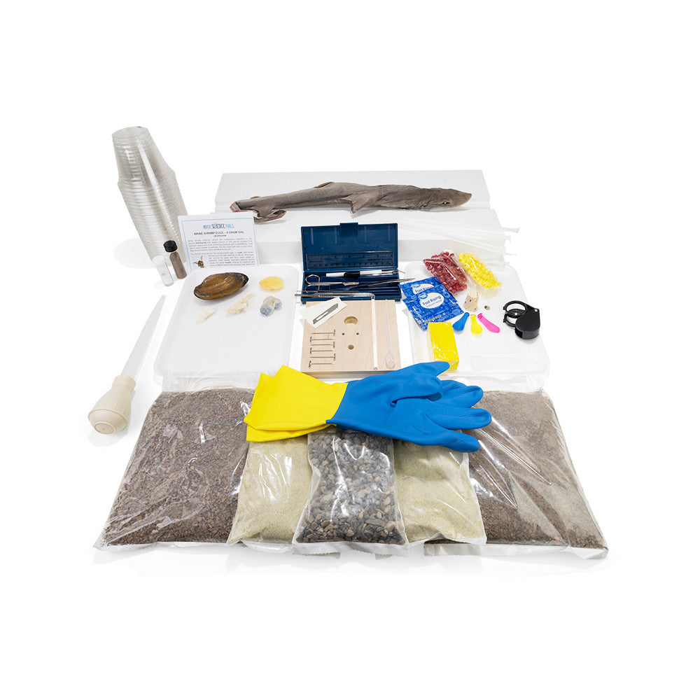 Exploring Creation with Marine Biology Dissection Set