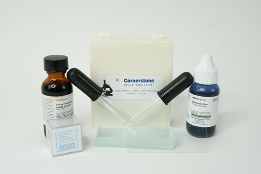 Exploring Creation With Biology Microscope Slide Set