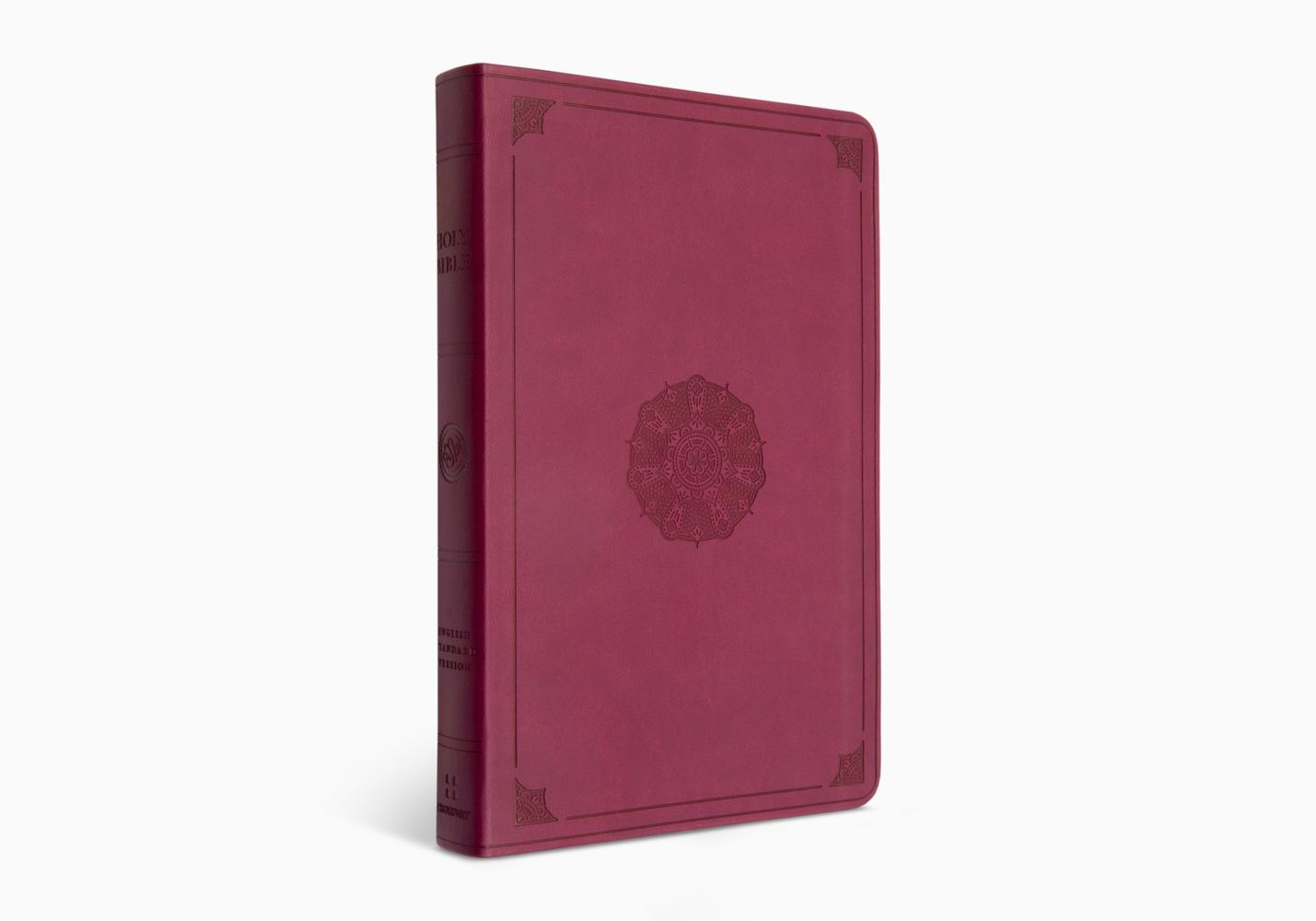 ESV Premium Gift Bible (K487)
