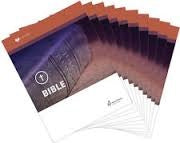 Alpha Omega Bible Grade 5 Workbooks only (P550w)