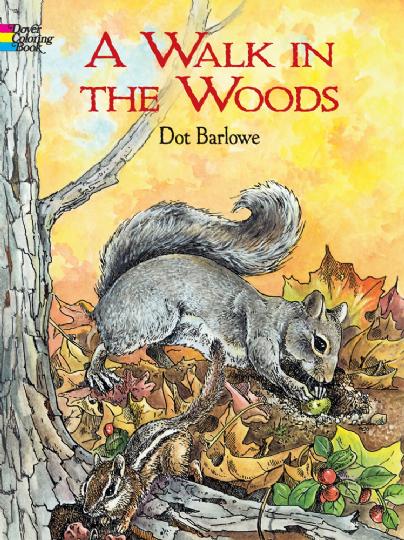 Walk in the Woods Colouring Book (CB168)
