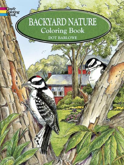 Backyard Nature Colouring Book (CB100)
