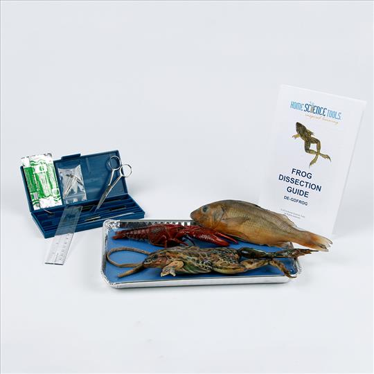 Exploring Creation With Biology Dissection Kit – Heritage Resources