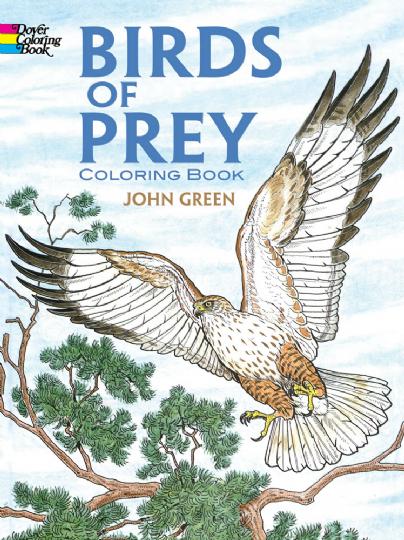 Birds of Prey Colouring Book (CB122)