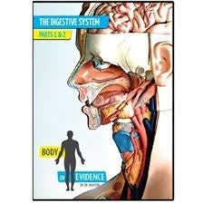 Body Of Evidence: The Digestive System DVD (H406)