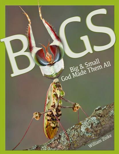 Bugs: Big & Small, God Made Them All (H449)