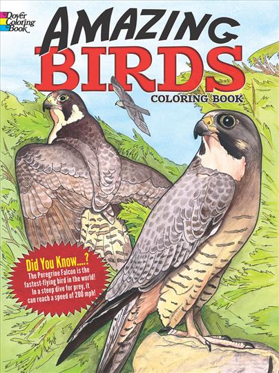 Amazing Birds Coloring Book (CB118)