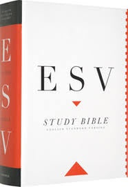 ESV Study Bible Hardcover (K503)