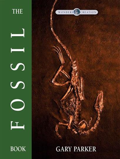 The Fossil Book (H304)