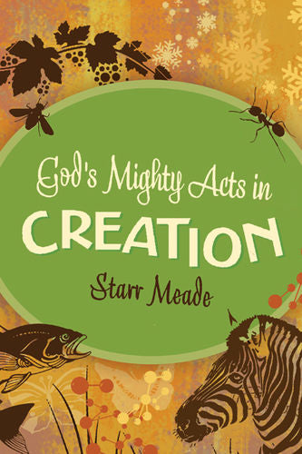 Gods Mighty Acts In Creation (A505)