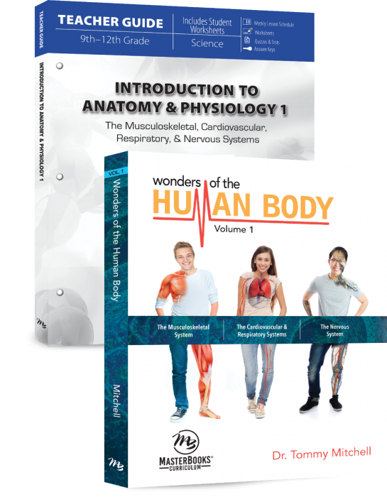 Introduction to Anatomy & Physiology 1 Set (H271)