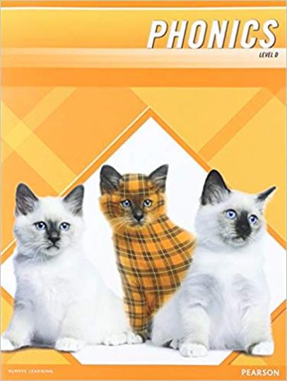 Plaid Phonics Level D Word Study (C113)