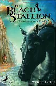 The Black Stallion  (N436)