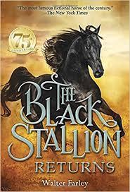 The Black Stallion Returns (N437)