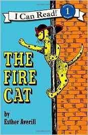 The Fire Cat (N617)