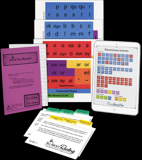 All About Reading Basic Interactive Kit (E310)