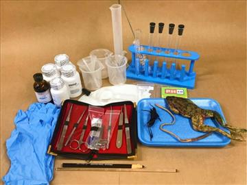 MasterBooks Biology Supply Kit (H399)