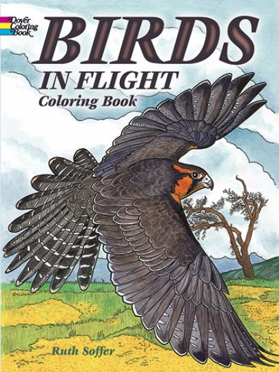Birds In Flight Coloring Book (CB124a)