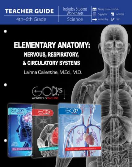Elementary Anatomy: Nervous, Respiratory, Circulatory Systems (Teacher Guide) (H270)