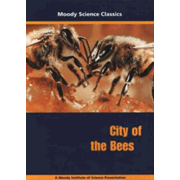 City of the Bees DVD (H421)